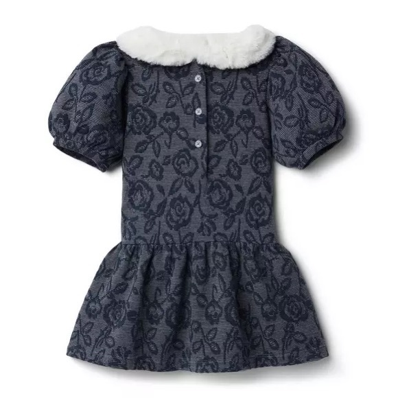 NWT Janie and Jack Faux Fur Collar Floral Jacquard Dress - Picture 2 of 7